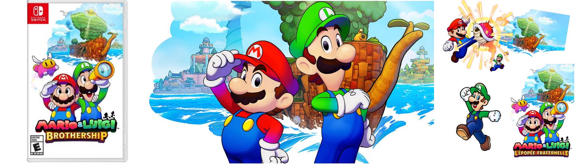 banner mario& luigi